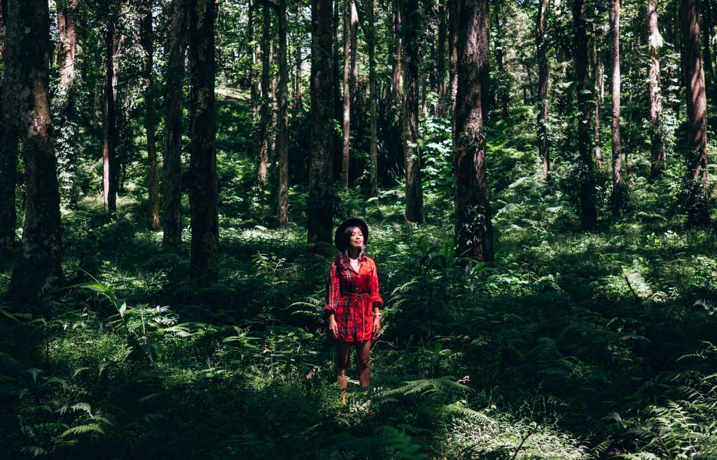 Nature Bathing Healing Emotionally Through Nature BLH Consultation Inc.